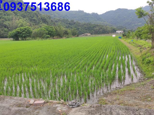 宜蘭三星農地-0