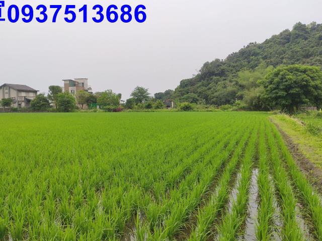 宜蘭三星農地-3