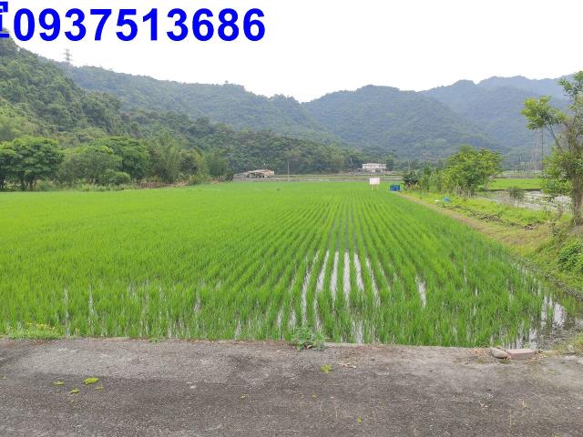 宜蘭三星農地-6