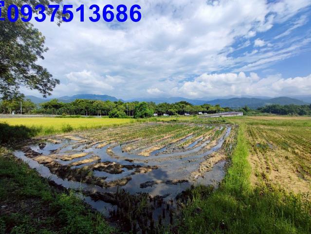 宜蘭員山農地-0