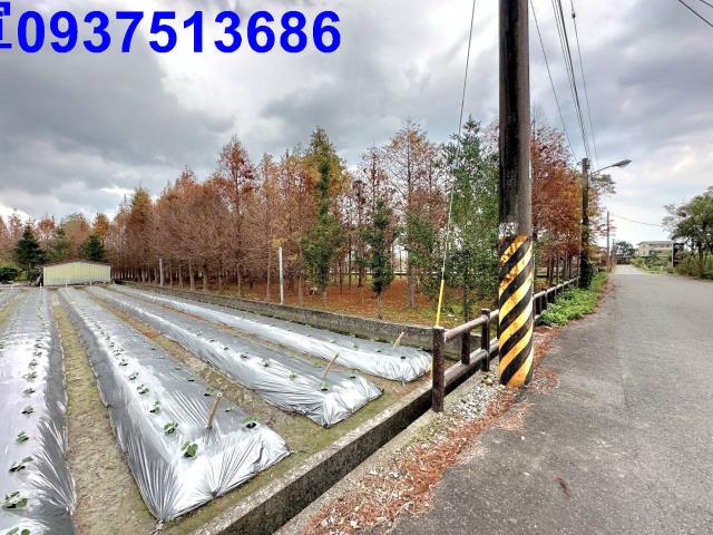 宜蘭員山農地-0