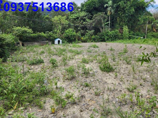 宜蘭員山農地-0