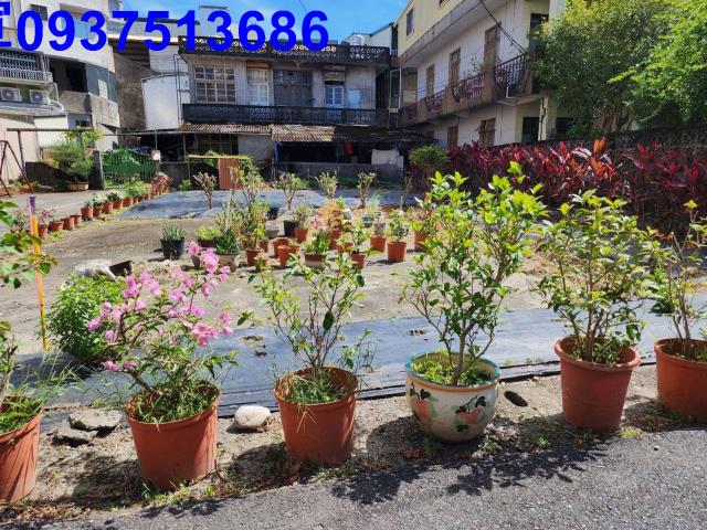 宜蘭宜蘭市農地-5