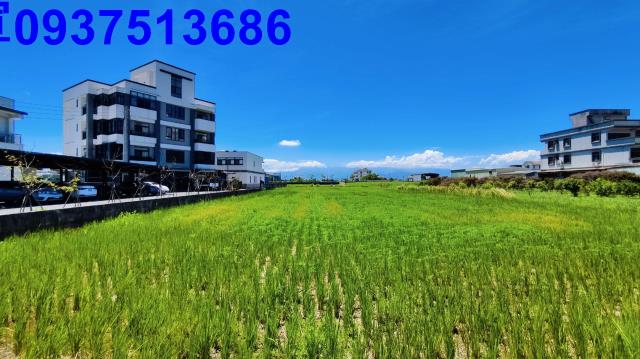 宜蘭礁溪農地-0