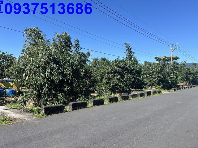 宜蘭員山農地-0