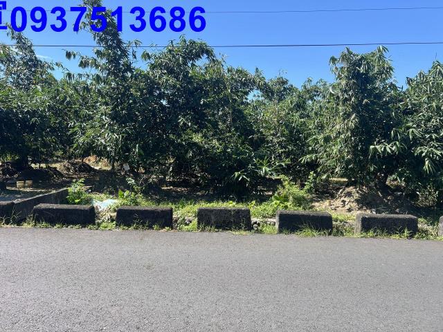 宜蘭員山農地-8