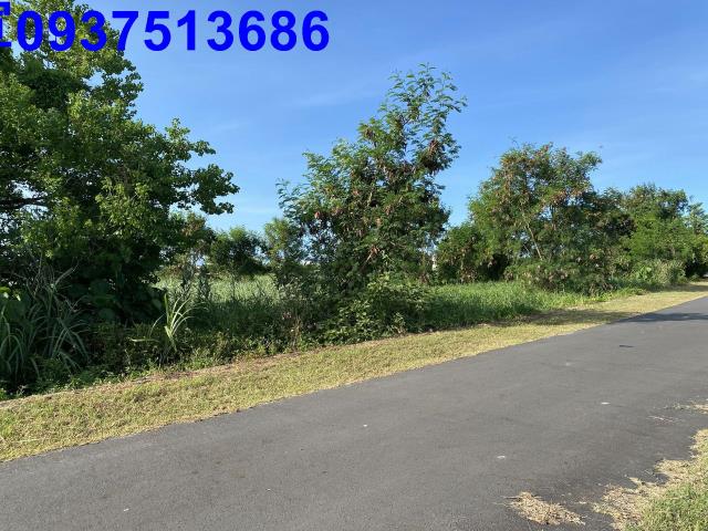 宜蘭五結農地-4