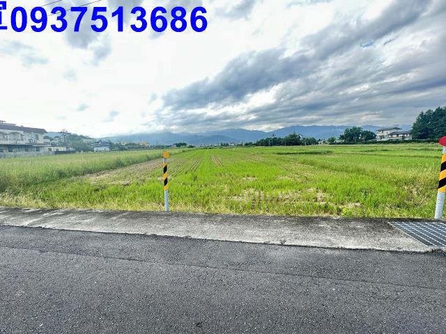 宜蘭宜蘭市農地-1