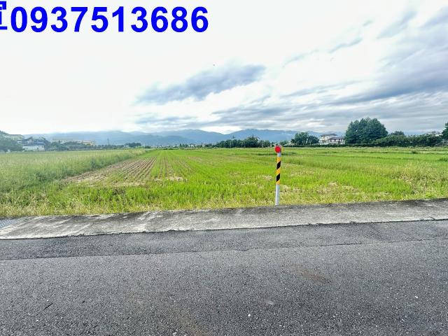 宜蘭宜蘭市農地-0