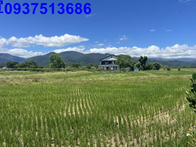 宜蘭三星農地-11