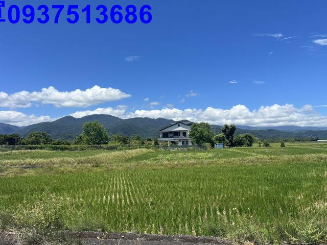 宜蘭三星農地-13