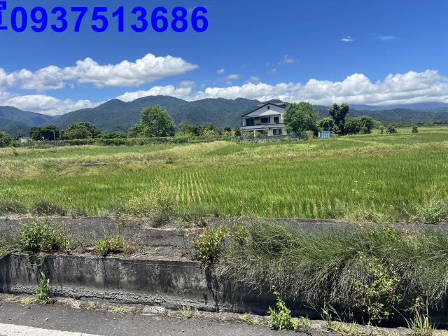 宜蘭三星農地-14