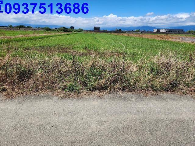 宜蘭壯圍農地-13