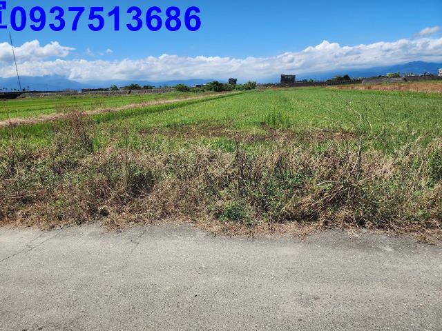 宜蘭壯圍農地-0