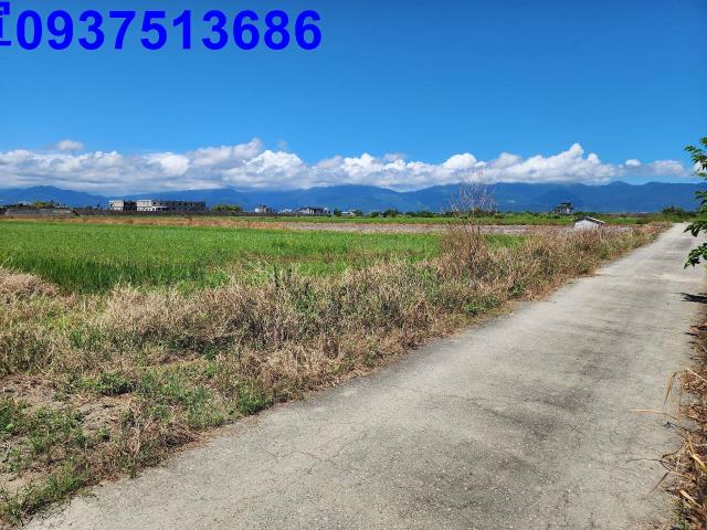 宜蘭壯圍農地-1