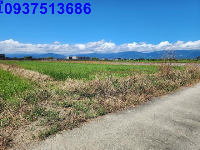 宜蘭壯圍農地-2