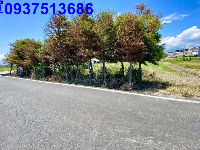 宜蘭壯圍農地-10