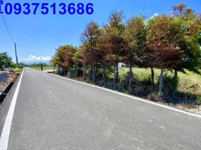 宜蘭壯圍農地-1