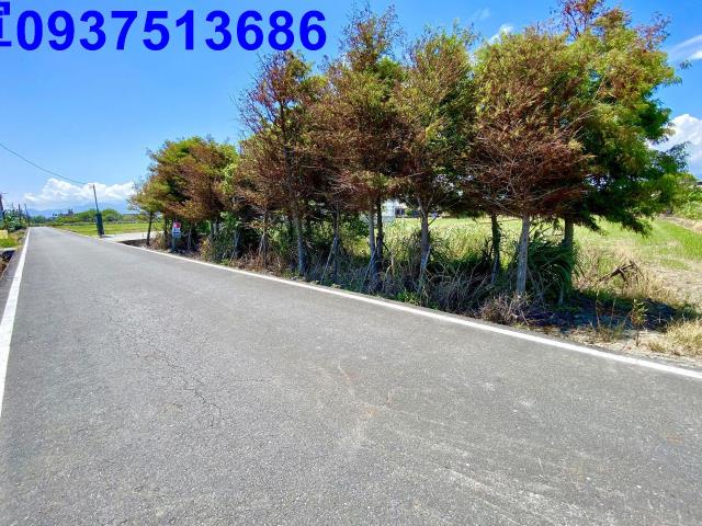 宜蘭壯圍農地-6