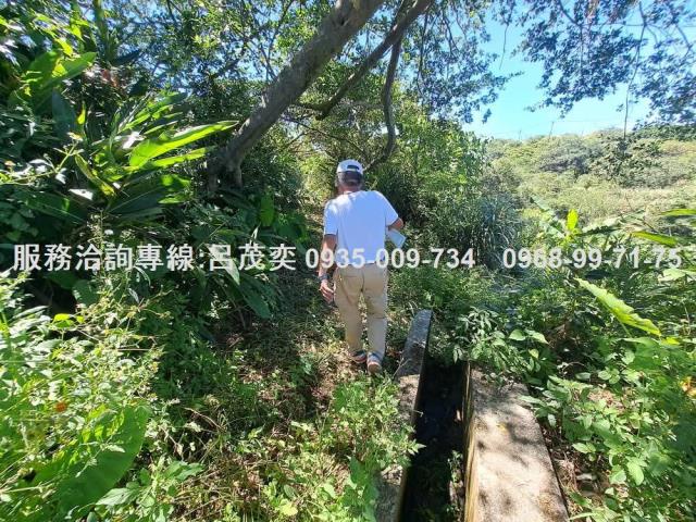 新北石門農地-10