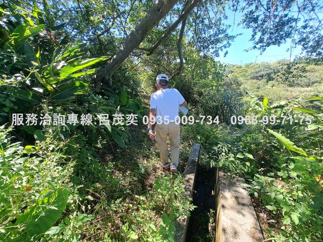 新北石門農地-11