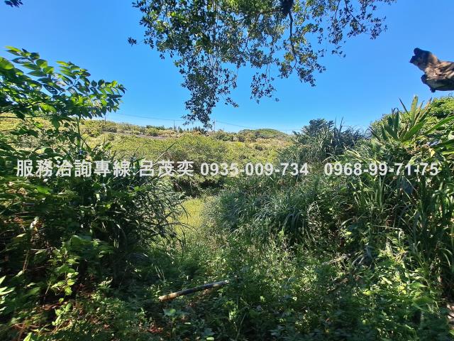 新北石門農地-6