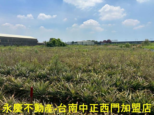 台南新化農地-3
