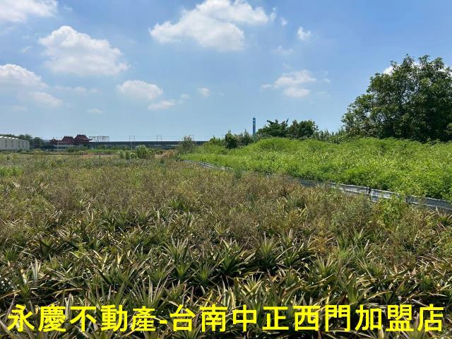 台南新化農地-4