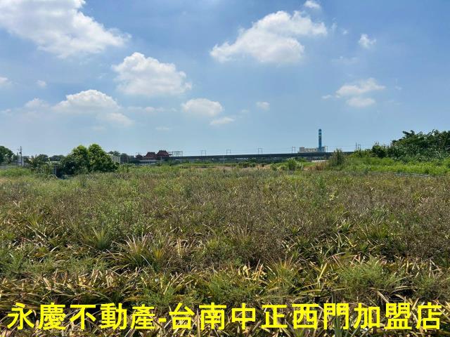 台南新化農地-6