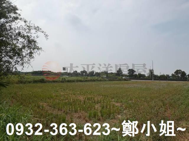 觀音農地-5