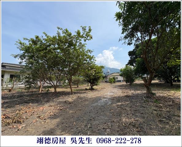 屏東高樹農地-9