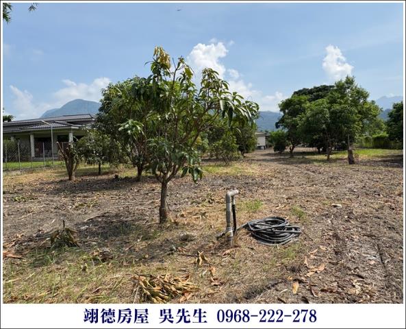 屏東高樹農地-11