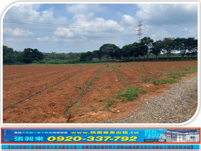 新竹關西農地-1
