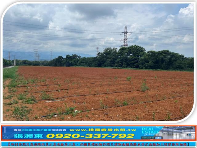 新竹關西農地-0