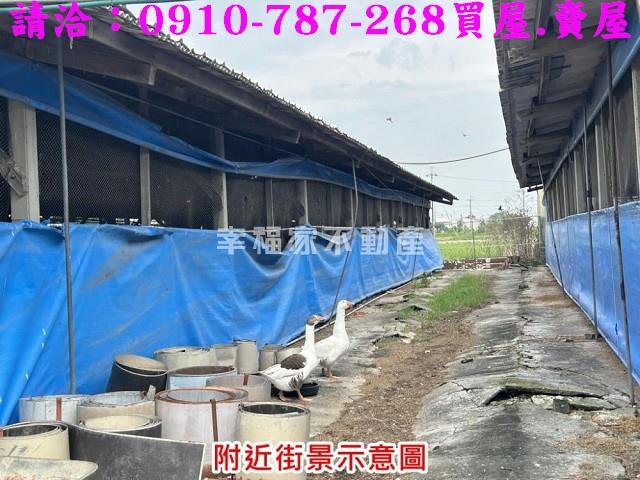 台南後壁農地-2