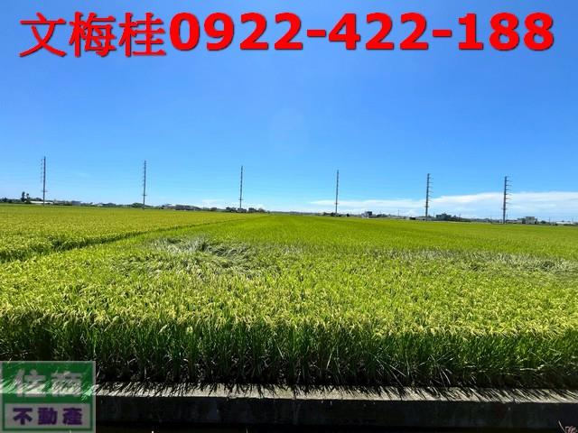 宜蘭壯圍農地-0