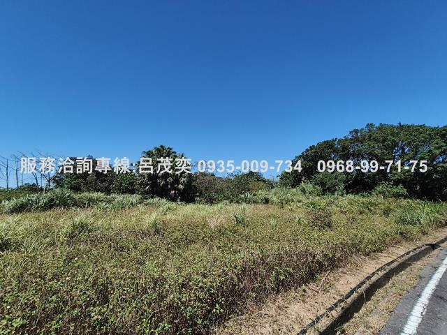 新北石門農地-9