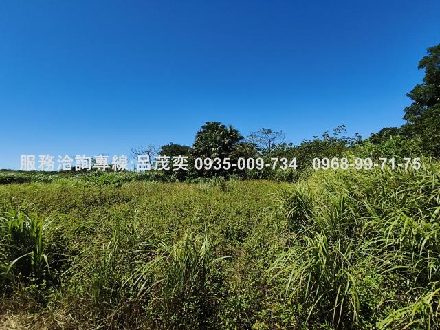 新北石門農地-5