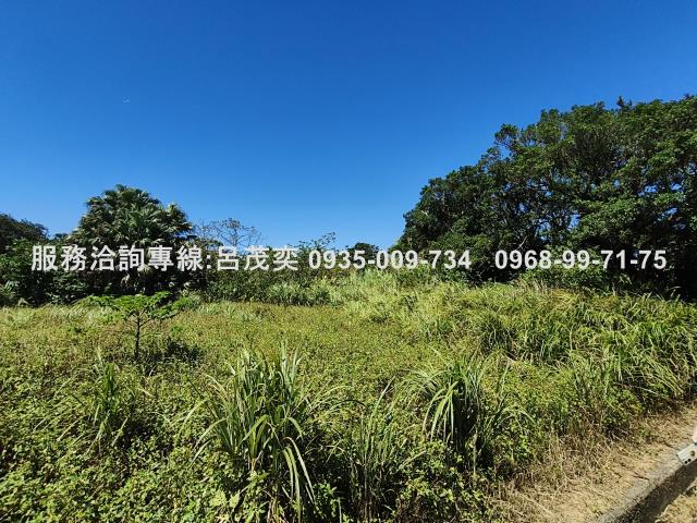 新北石門農地-6