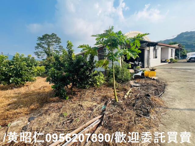 台南玉井農地-10