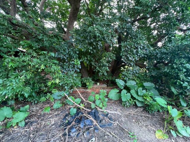 台南玉井農地-10