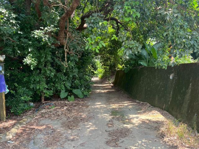 台南玉井農地-13