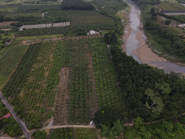 台南玉井農地-2