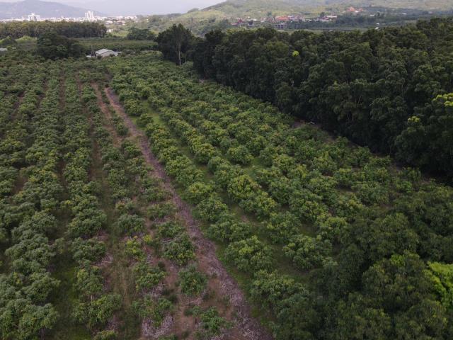 台南玉井農地-5