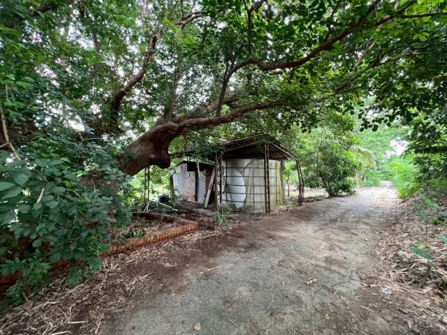 台南玉井農地-6