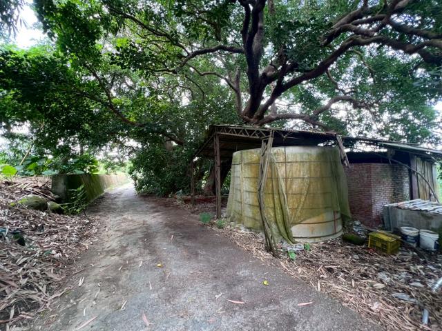 台南玉井農地-7