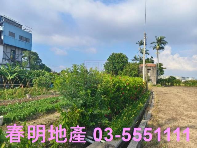 新竹竹東工業地-5