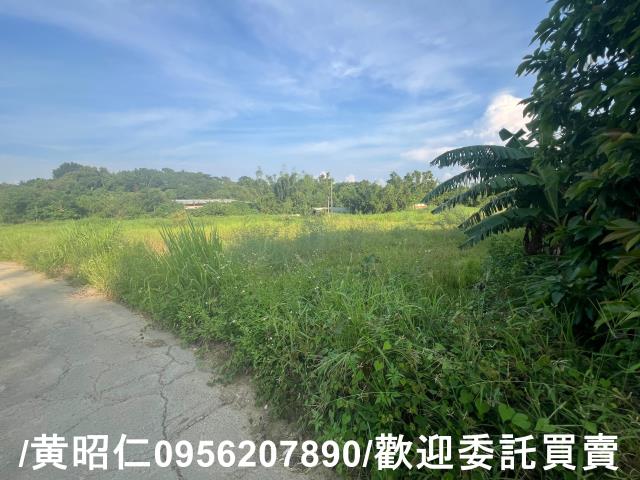 台南歸仁農地-9