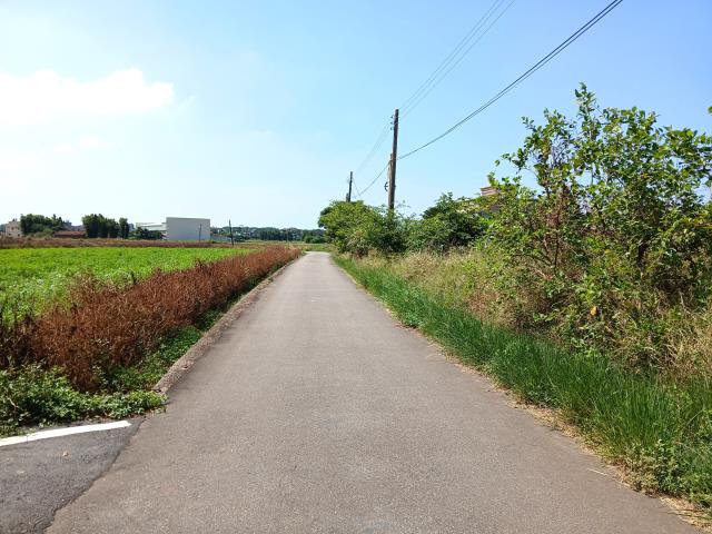 桃園大園農地-9