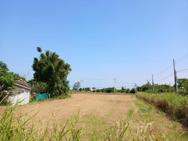 桃園大園農地-10